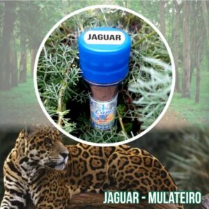 Rapé Jaguar