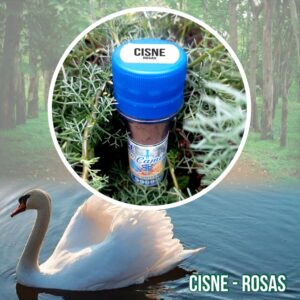 Cisne