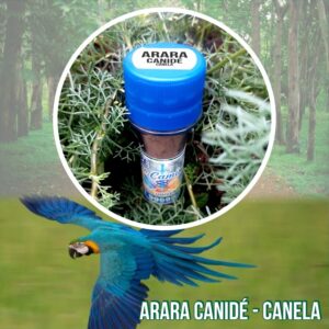 Arara Amarela