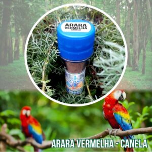 Arara Vermelha