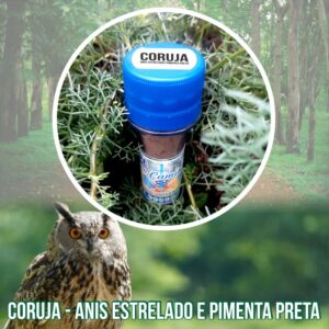 Coruja