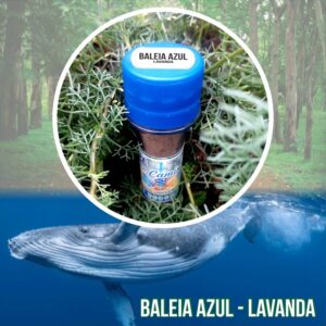 Baleia Azul