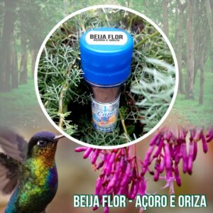 Beija-Flor