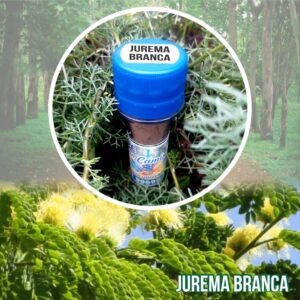 Jurema Branca