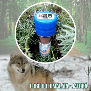 Rapé Lobo do Himalaia